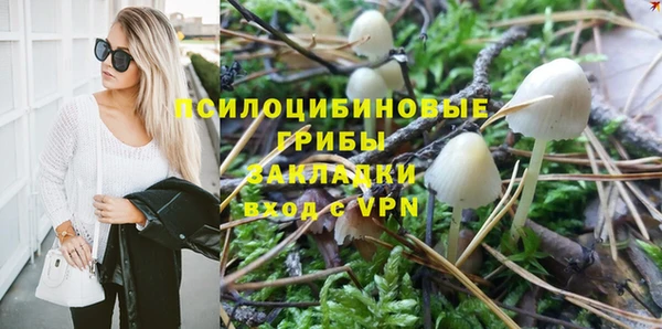 а пвп мука Аркадак