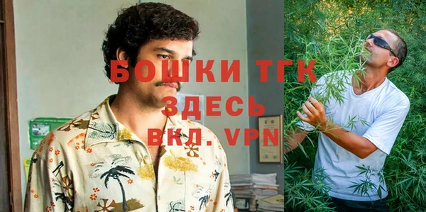 крисы Армянск
