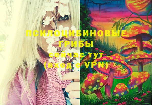 прущие крисы Арсеньев