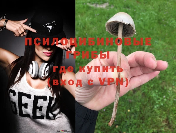 а пвп мука Аркадак