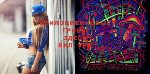 прущие крисы Арсеньев