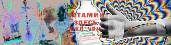 крисы Армянск